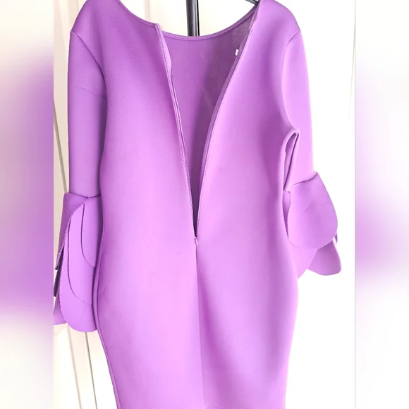 Elegant Purple Dress with Unique Sleeves - Picture 4 of 6